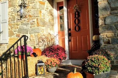Halloween decorations