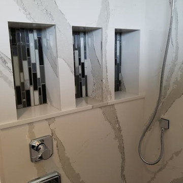 Contemporary Bathroom Remodel