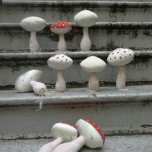Mushrooms