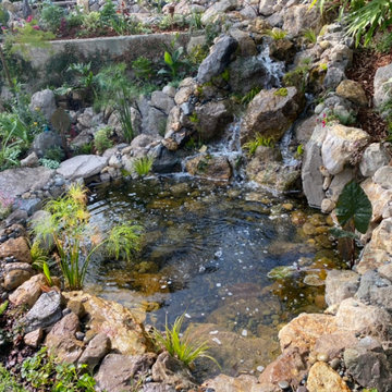 Encino Pond, Pondless Waterfall & Landscape Project