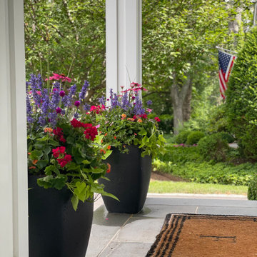 Summer Containers