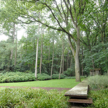 Forest garden - The long floating line..