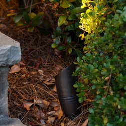 Acworth, GA House and Backyard Lighting Project Up Light - Outdoor Lighting