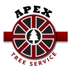 Apex Tree Service
