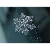 Carol Brown's photo