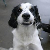 Mary McGroarty's photo