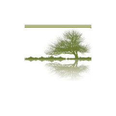 C & J's Landscape Services