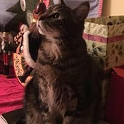 Susan Hager's photo