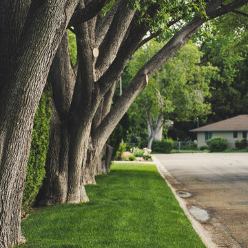Landscaping