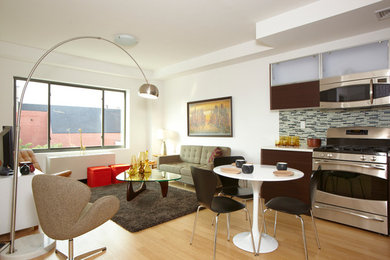 Inspiration for a modern living room in New York.