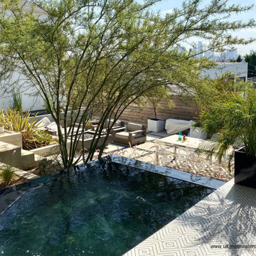 Los Angeles Contemporary Spa Build with Remodeled Deck and Backyard