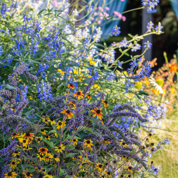 Nel mio giardino
