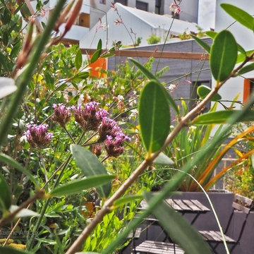 Une terrasse à intimiser
