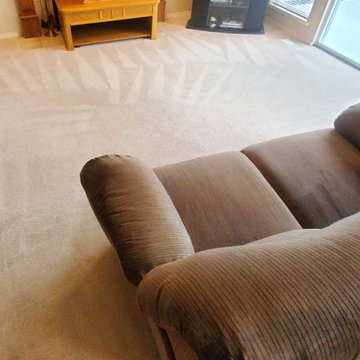 Carpet Cleaning a House Which Has Not Been Steam Cleaned for 8 Years Located in