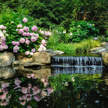 Ponds