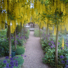 Garten Z