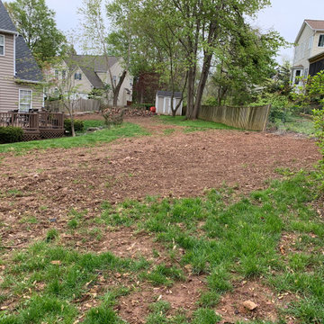 Lawn renovation