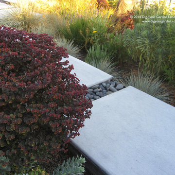 Modern Water-Side Landscape Remodel and Lawn Replacement - Back, Novato, CA