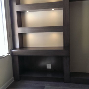 Entertainment Unit