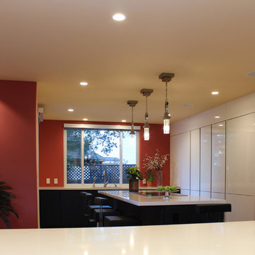 Cupertino kitchen in carbon oak and gloss white cabinets