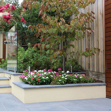 Pool & Garden Makeover - CAMBERWELL