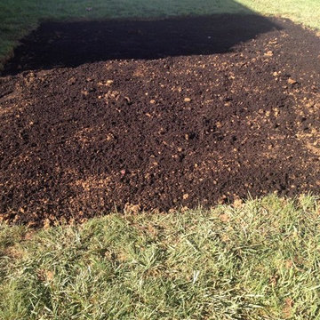 Lawn Renovation Ridgely