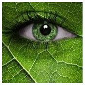 Slina Roche's photo