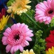 Muhammad Tanveer Ahmad's photo