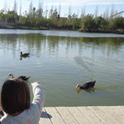 bublee lu's photo