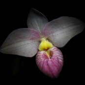 Photo de Karen Badia