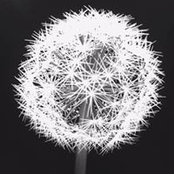 Michael Greathouse's photo