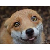 Casey Jardin's photo