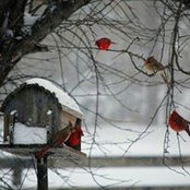 Maggie Moreno's photo