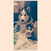 Derek Cosford's photo