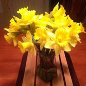 Cathy Glazier's photo