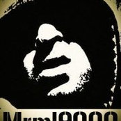 Manny Lima's photo