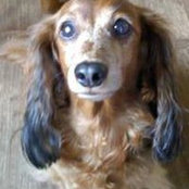 Darlene Johnson's photo