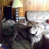 Terrell Powell's photo