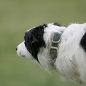 Heather Nadelman's photo