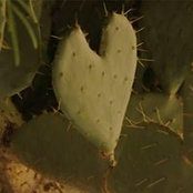 Foto von Marilyn Schatz