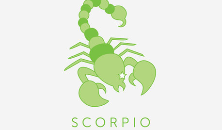 Designing With the Stars: Scorpio