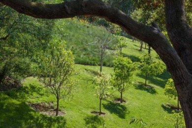 Inspiration for a contemporary landscaping in Los Angeles.
