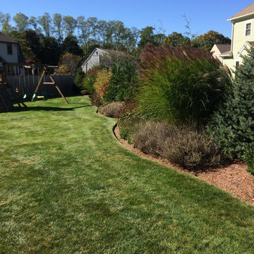 Perennial border planting
