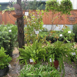 Fall Auction - Outdoor Products