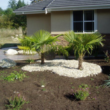 Front Landscaping