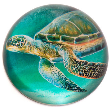 Glass Dome Sea Turtle Paper Weight