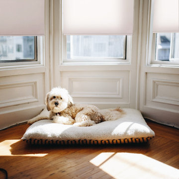 FREE STOP®Roller Shade - Champagne