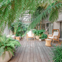 Avant/Après : La métamorphose d'un patio en jardin luxuriant