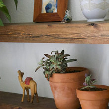 MT Shelves