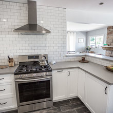 White Kitchens